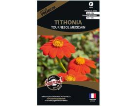 Graines de fleurs premium tithonia tournesol mexicain
