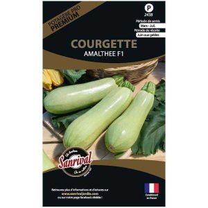 Graines potagères premium courgette (Blanche massue Amalthee)