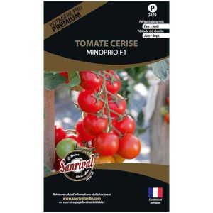 Graines potagères premium tomate (Cerise Minoprio)
