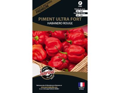 Graines potagères premium piment (Ultra fort Habanero)