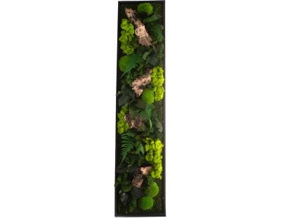 Tableau végétal stabilisé canopé Panoramic (140 x 40 cm)