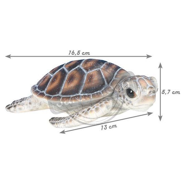 Bébé tortue marine en résine - RIV-0140