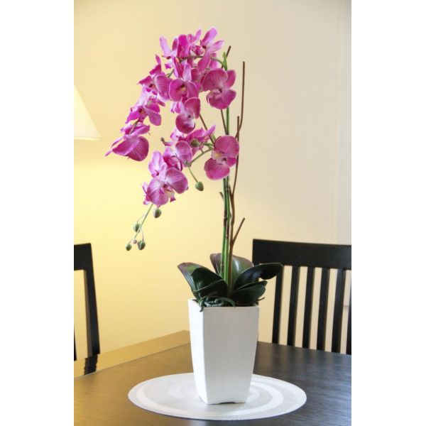 Orchidée fuchsia en pot blanc - LIGNE DECO