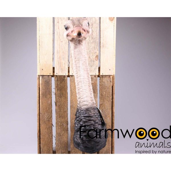 Patère autruche en résine 25 x 19 x 72 cm - Farmwood animals