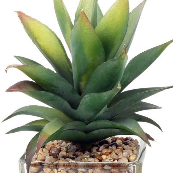 Plantes artificielles dans pot en verre 6.5 x 6.5 x 17 cm (Lot de 3) - SIL