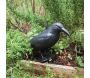 Epouvantail corbeau pour éloigner les pigeons - ESSCHERT DESIGN