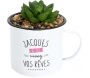 Mugs avec plantes artificielles Jacques a dit (Lot de 4) - 23,90
