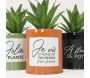 Succulentes artificielles dans pots colorés 17 cm (Lot de 3) - SOV-0186