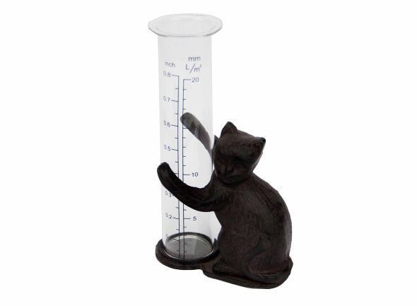 Pluviometre chat