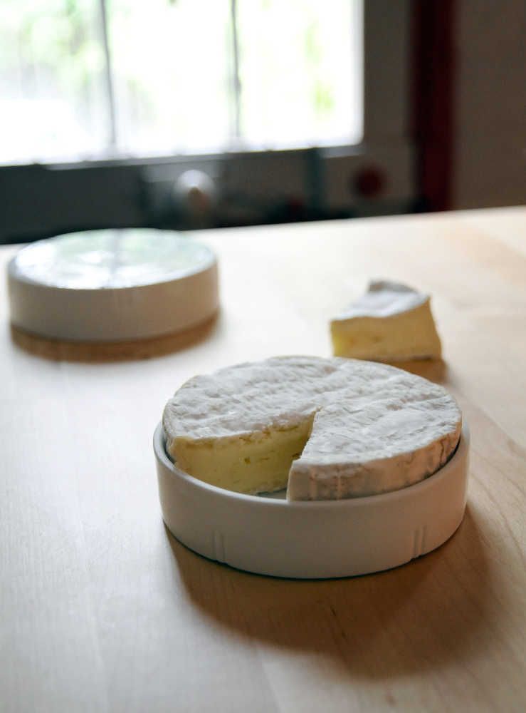 Cloche a camembert en porcelaine