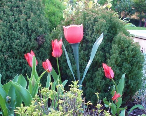 Lampe solaire tulipe rouge