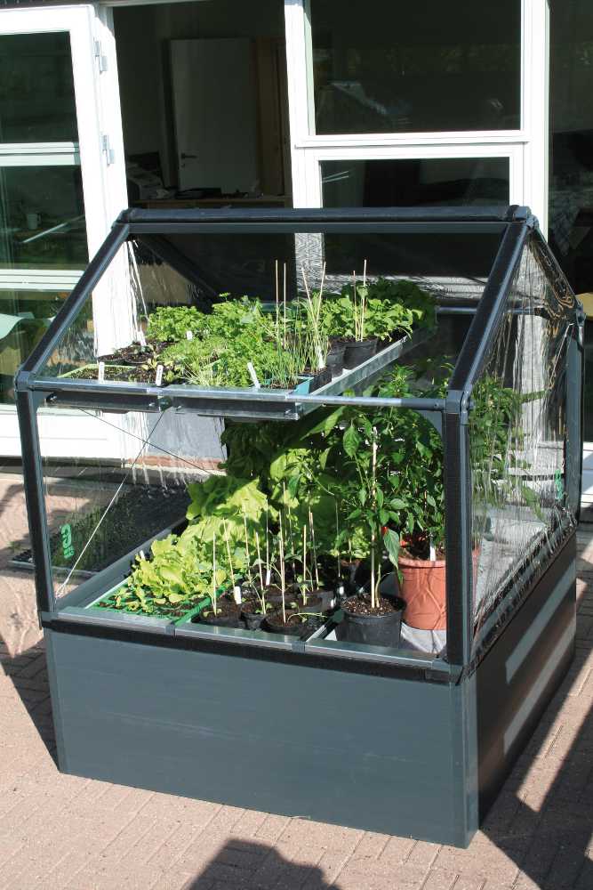Potager de jardin sur�lev� avec serre 120x120x150cm