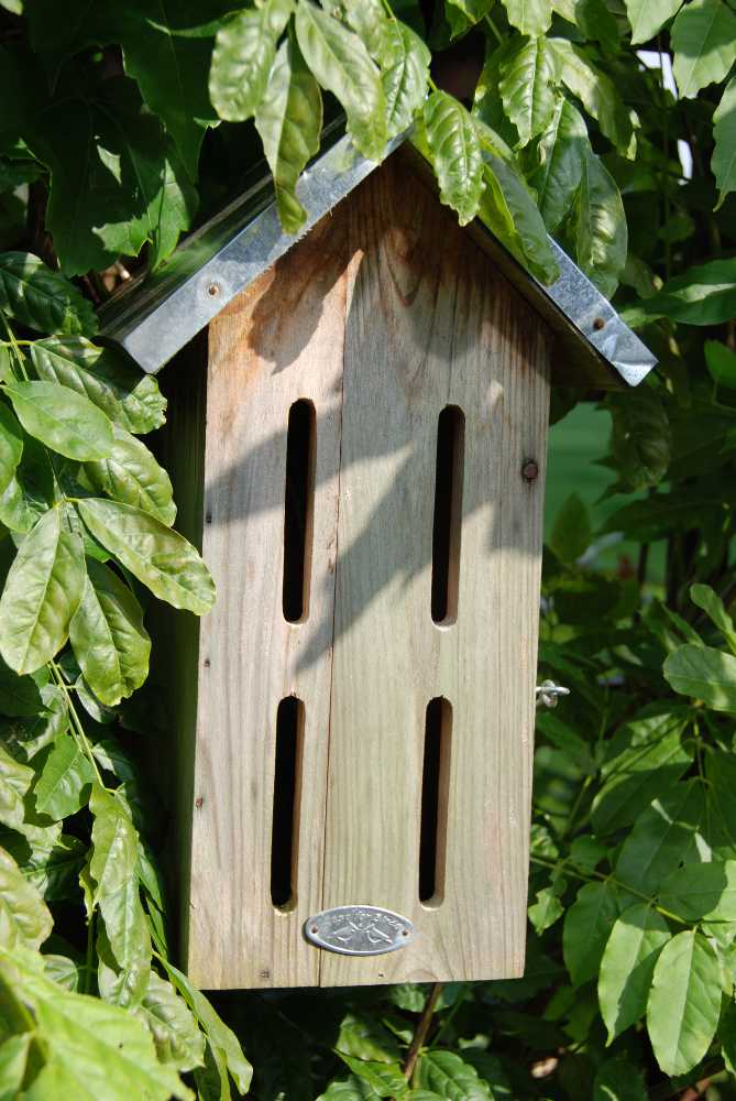 Maison avec graines pour papillons