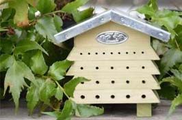 Maisons pour abeilles