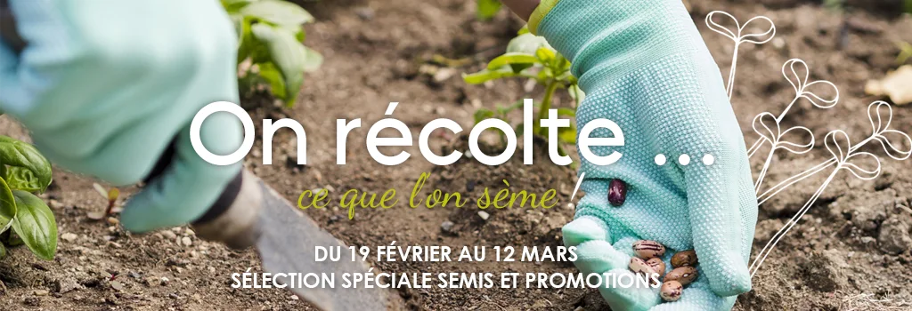 On récolte ce que l'on sème ! : evenenement shopping sur Jardindeco.com