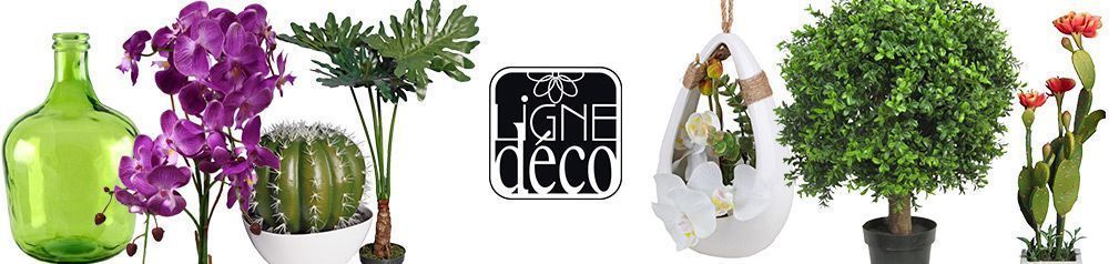 LIGNE DECO sur Jardindeco.com