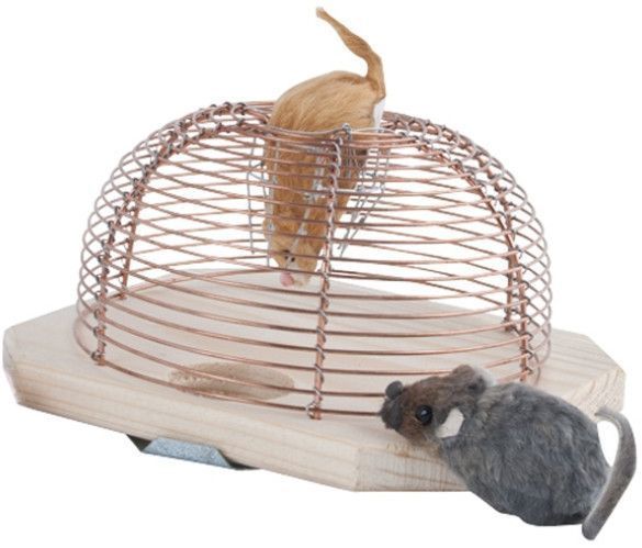 Piège à souris Souricières animal friendly - Piège à souris - Pièges à  souris