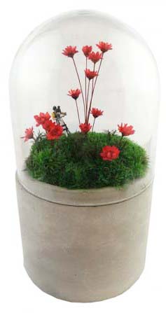 Terrarium bouchon liège - Grossiste fleuriste décoration tendance