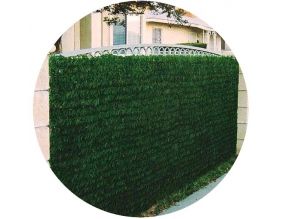 Haie artificielle 140 brins vert thuya en rouleau (1.2 x 3 m (Lot de 10))