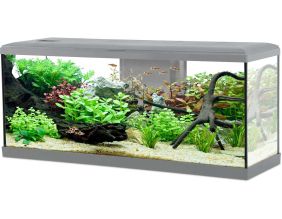 Kit aquarium Tana 120L (Gris)