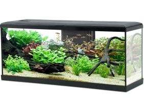 Kit aquarium Tana 120L (Noir)