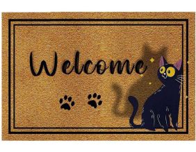 Paillasson en PVC 40 x 60 cm Door (Chat confus)