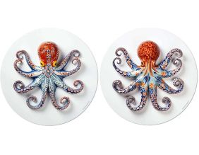 Set de table en vinyle 38 cm Octopus (Lot de 2 sets de table motifs assortis)