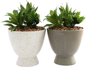 Succulente artificielle en pot Visage (Lot de 2)