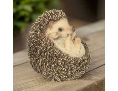 Bébé hérisson en boule en résine