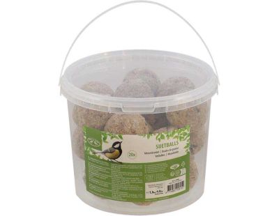 Rêve d'Oiseau - Vitalmix - Nourriture pour Oiseaux de Qualité Supérieure I  Graines pour Oiseaux Sauvages I Extra Protéinée pour Les Parents d'oiseaux  Exterieur (5kg) : : Jardin
