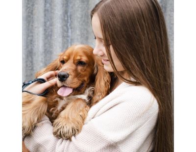 Brosse chien en soies claires et tiges de bois