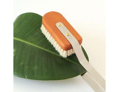 Brosse nettoyage feuilles de plantes