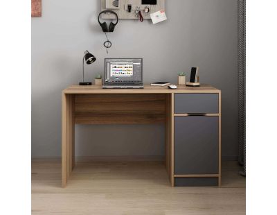 Bureau avec tiroir et placard Elina (Anthracite)