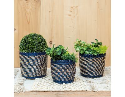 Cache-pots en jonc naturel et bleu (lot de 3)