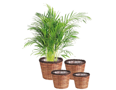 Cache-pots ronds en jacinthe (lot de 4)