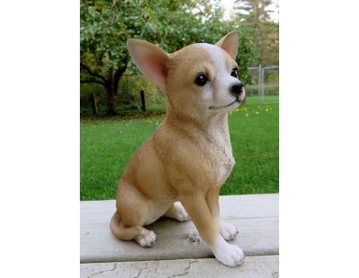 Chihuahua assis en résine 23 cm