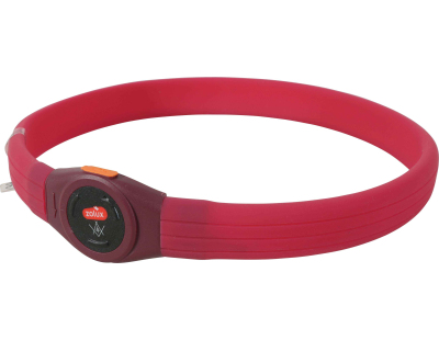 Collier lumineux pour chiens poils longs Bivouak (Rouge)