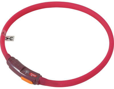 Collier lumineux pour chiots Bivouak (Rouge)