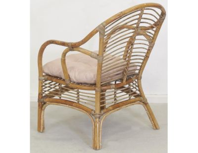 Fauteuil en rotin marron + coussin