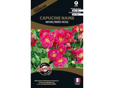 Graines de fleurs premium capucine naine Whirlybird rose