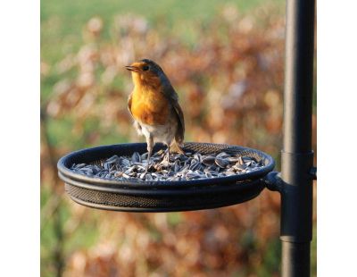 Grande station d'alimentation pour oiseaux