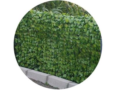 Plante artificielle extérieur coloris vert HAIE UV - 180 x 45 x 90 cm  -PEGANE