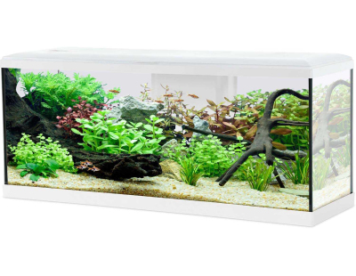Kit aquarium Tana 120L (Blanc)