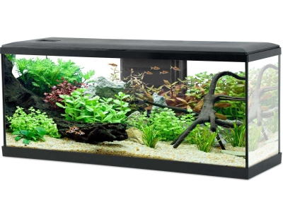 Kit aquarium Tana 120L (Noir)
