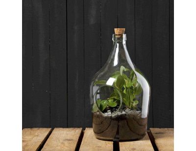 Kit terrarium végétal à faire soi-même DIY (3 litres)