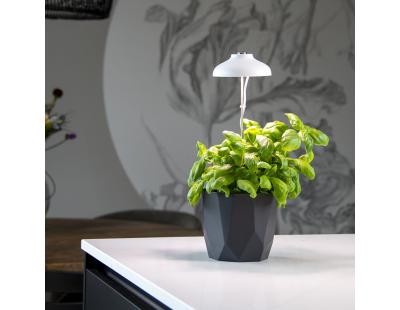 Lampe de croissance pour plantes ampoule led