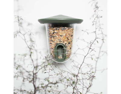 Mangeoire pour oiseaux du jardin FeedR (Vert jungle)