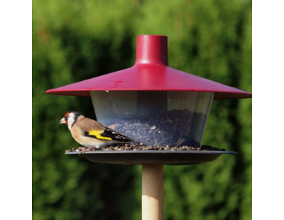 Mangeoire à oiseaux en plastique Cap (Fuschia)