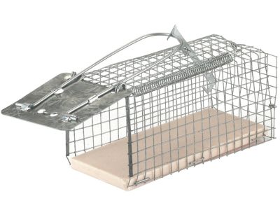 Beat The Pest Piège à souris en métal pour attraper jusqu'à 10 souris  vivantes : : Jardin