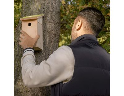 Nichoir pour mésange bleue en pin pochoir